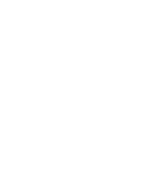 decorative arrow